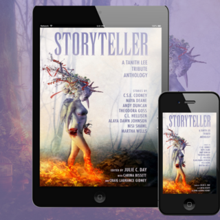 A DRM-free ebook edition of STORYTELLER
