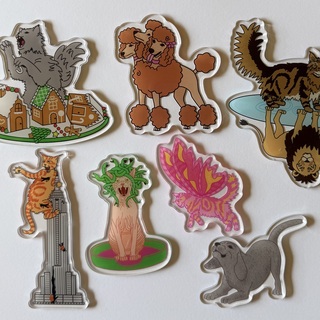 Single Strong Acrylic Magnet