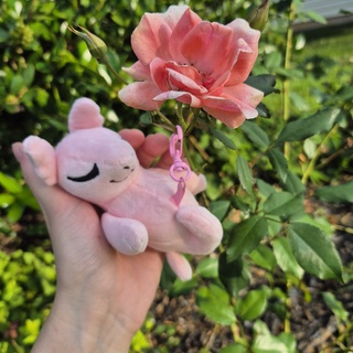 Fetal Friends keychain