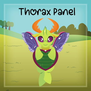 Thorax - Panel