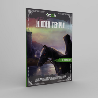 Hidden Temple Adventure Book