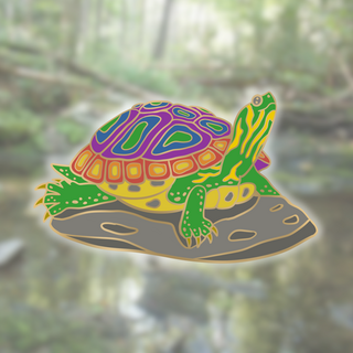 Rainbow Turtle 2" Pin