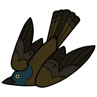 Grackle Pin + Sticker