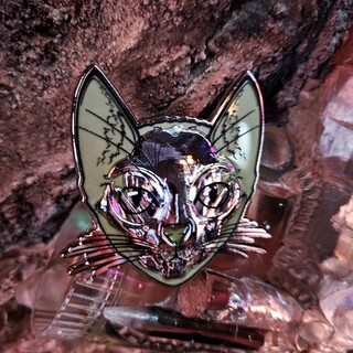 Focused Schrödinger's Cat Pin