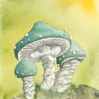 Print Stropharia Aeruginso