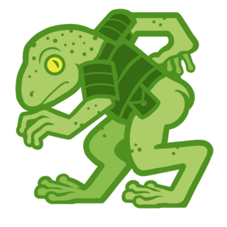 froggy boy pin
