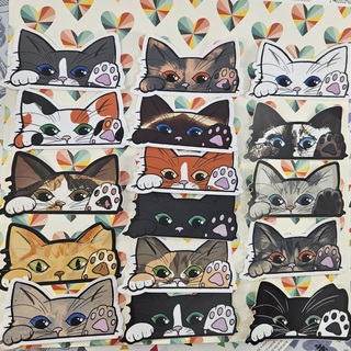 Kitty Peekers