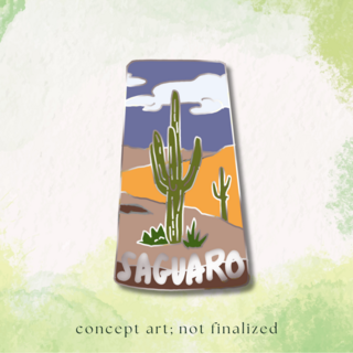 Pin | Saguaro NP