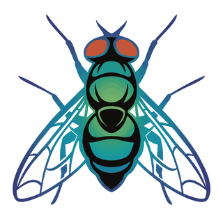 Bottle Fly 1.5" mini pin