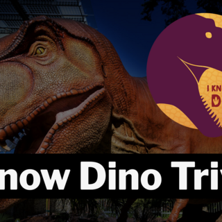 Dinosaurs of 2025 Trivia Game