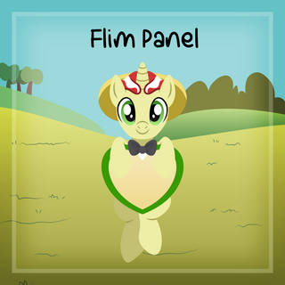 Flim - Panel
