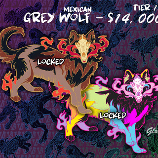 Grey Wolf