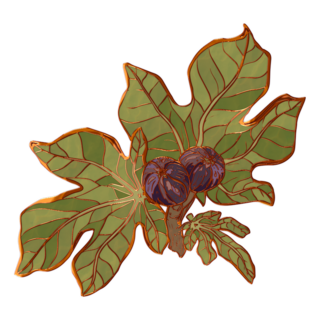 Fig Bough Enamel Pin