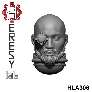 HL306