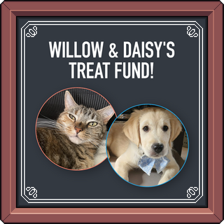 Willow & Daisy's Treat Fund