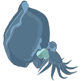 Mystery Mollusc Mini Pin