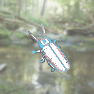 Transgender Firefly Mini Pin