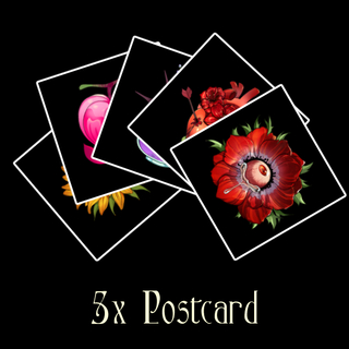 Postcard Set