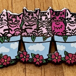 6 Kittens in Flower Pots