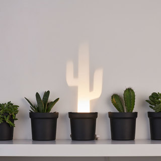 Cactus lamp