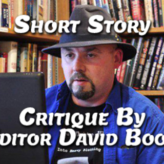 Short Story Critique up to 5000