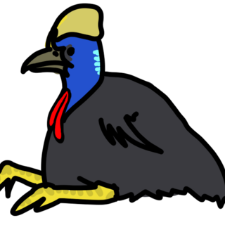 Cassowary Enamel Pin