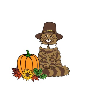 Thanksgiving Coon Pin