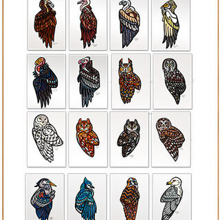 Visionary Vultures 2-  8.5"x11" size Full set of 20 Prints