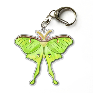 Luna Moth 2.5" Acrylic Keychain Charm