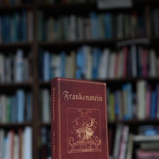 Novel Travelbook Frankenstein by Mary Shelley 1818
