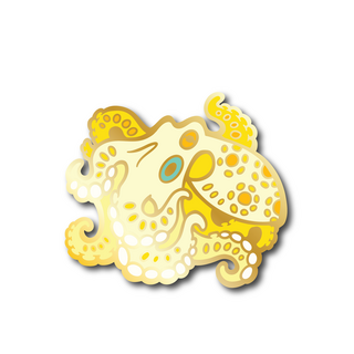 Pin | California Two-Spot Octopus