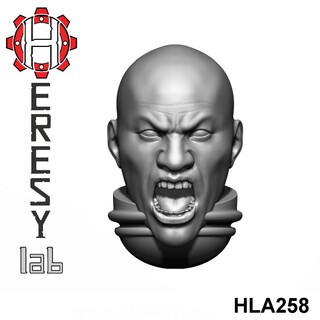 HLA258
