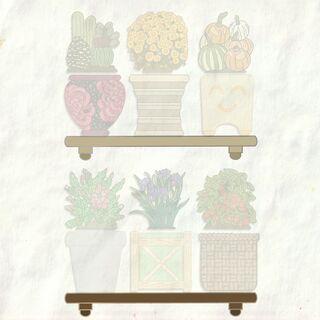 Medium Shelf
