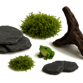 Decoration Kit- Carnivorous Kingdom