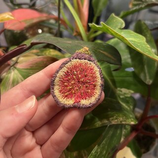 Fig Embroidered Brooch