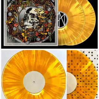 Ascend Ascend LP - Yellow Marigold