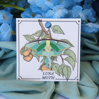 Luna Moth Pin