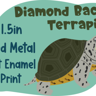 Diamond Back Terrapin Dyed Pin