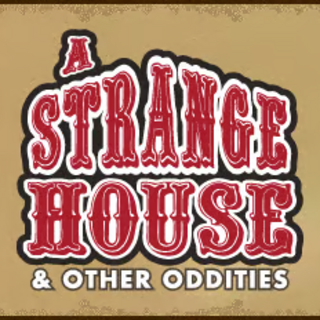 A Strange House (Hardcover Print)
