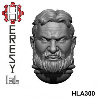 HL300
