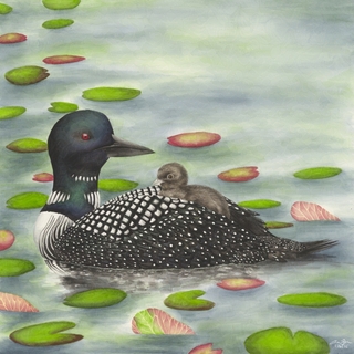 Common Loon Art Print (Twin Cities Rent Relief, US only)