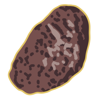 Mangosteen Seed