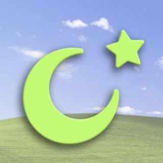 Moon  + Stars Pin