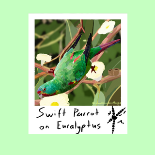 Pin Safari Banner Collab Sticker