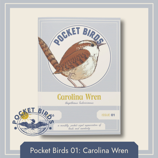 PB01 - Carolina Wren