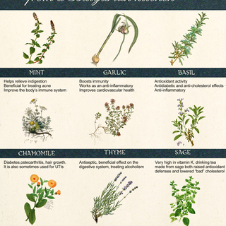 Healing Herbs Digital Fact Sheets
