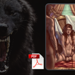 Cover Gallery PDF