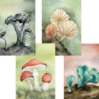 Art Printset Fungi and Faeries