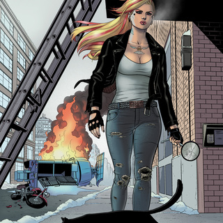 11" x 17" Issue 13A Matt Merhoff Print