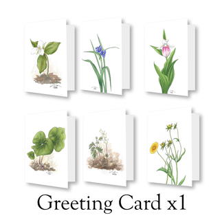 Wildflower Greeting Card